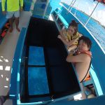 stc-id0001-snorkel-en-barco-vip-con-fondo-de-cristal-cubana-en-cozumel-05
