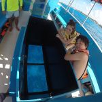 stc-id0001-snorkel-en-barco-vip-con-fondo-de-cristal-cubana-en-cozumel-05