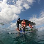 stc-id0057-clear-boat-at-cozumel-05
