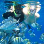 stc-id0103-snorkeling-by-private-glass-bottom-boat-cubana-02