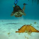 stc-id0063-snorkeling-at-colombia-palancar-and-el-cielo-from-tortugas-beach-05