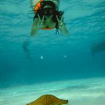 stc-id0063-snorkeling-at-colombia-palancar-and-el-cielo-from-tortugas-beach-08
