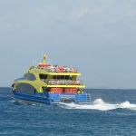 stc-id0007-snorkeling-by-vip-glass-bottom-boat-at-cozumel-starting-from-cancun-with-beach-break-and-lunch-02
