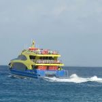 stc-id0029-descubre-el-buceo-1-tanque-en-cozumel-desde-cancun-02