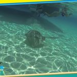 stc-id0073-snorkel-doble-arrecife-el-cielo-y-playa-mia-en-catamaran-en-cozumel-iniciando-desde-cancun-09