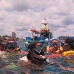 stc-id0009-snorkeling-by-vip-glass-bottom-boat-at-cozumel-starting-from-riviera-maya-with-beach-break-and-lunch-00-cover