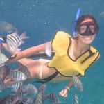 stc-id0009-snorkeling-by-vip-glass-bottom-boat-at-cozumel-starting-from-riviera-maya-with-beach-break-and-lunch-04