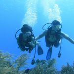 stc-id0055-buceo-basico-2-tanques-en-cozumel-iniciando-desde-la-riviera-maya-00-portada