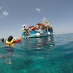 stc-id0005-snorkel-en-barco-vip-con-fondo-de-cristal-en-cozumel-empezando-desde-playa-del-carmen-con-descanso-en-club-de-playa-y-almuerzo-02