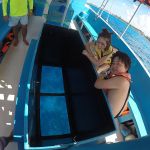 stc-id0005-snorkel-en-barco-vip-con-fondo-de-cristal-en-cozumel-empezando-desde-playa-del-carmen-con-descanso-en-club-de-playa-y-almuerzo-09