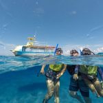 stc-id0003-snorkeling-by-vip-glass-bottom-boat-cubana-at-cozumel-with-beach-break-and-lunch-09