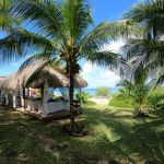 stc-id0149-snorkel-en-la-costa-y-aventura-en-bicicleta-electrica-en-cenotes-05