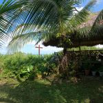 stc-id0149-snorkel-en-la-costa-y-aventura-en-bicicleta-electrica-en-cenotes-16