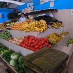 stc-id0151-tour-original-por-la-ciudad-en-bicicleta-electrica-04