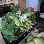 stc-id0151-tour-original-por-la-ciudad-en-bicicleta-electrica-15