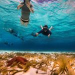 stc-id0171-snorkel-en-colombia-palancar-y-el-cielo-para-pasajeros-de-crucero-en-barco-05