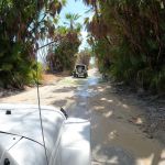 stc-id0173-escapadas-en-jeep-todoterreno-con-todo-incluido-a-isla-de-la-pasion-00-cover