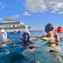 stc-id0201-snorkeling-at-colombia-palancar--el-cielo-by-catamaran-capitano-06_original