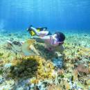 stc-id0201-snorkeling-at-colombia-palancar--el-cielo-by-catamaran-capitano-07_original