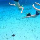 STC-ID0211-snorkeling-at-colombia-palancar-turtles-sanctuary--el-cielo-by-catamaran-09_original_copy_1