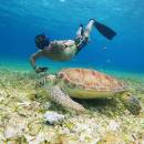 tour-de-snorkel-en-el-santuario-de-tortugas-00-portada_original