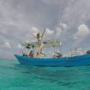 tour-de-snorkel-en-el-santuario-de-tortugas-03_original
