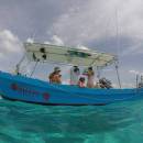 tour-de-snorkel-en-el-santuario-de-tortugas-04_original