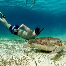tour-de-snorkel-en-el-santuario-de-tortugas-06_original