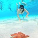 tour-de-snorkel-en-el-santuario-de-tortugas-07_original