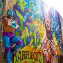 stc-id0179-espectaculo-de-lucha-libre-paquete-clasico-04_original