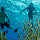 stc-id0245-beach-break-at-the-money-bar-with-lunch-and-snorkel-02_original