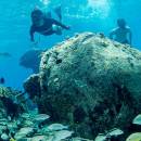 stc-id0245-beach-break-at-the-money-bar-with-lunch-and-snorkel-04_original