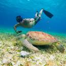 stc-id0281-turtle-sanctuary-and-el-cielo-by-catamaran-poseidon-03_original